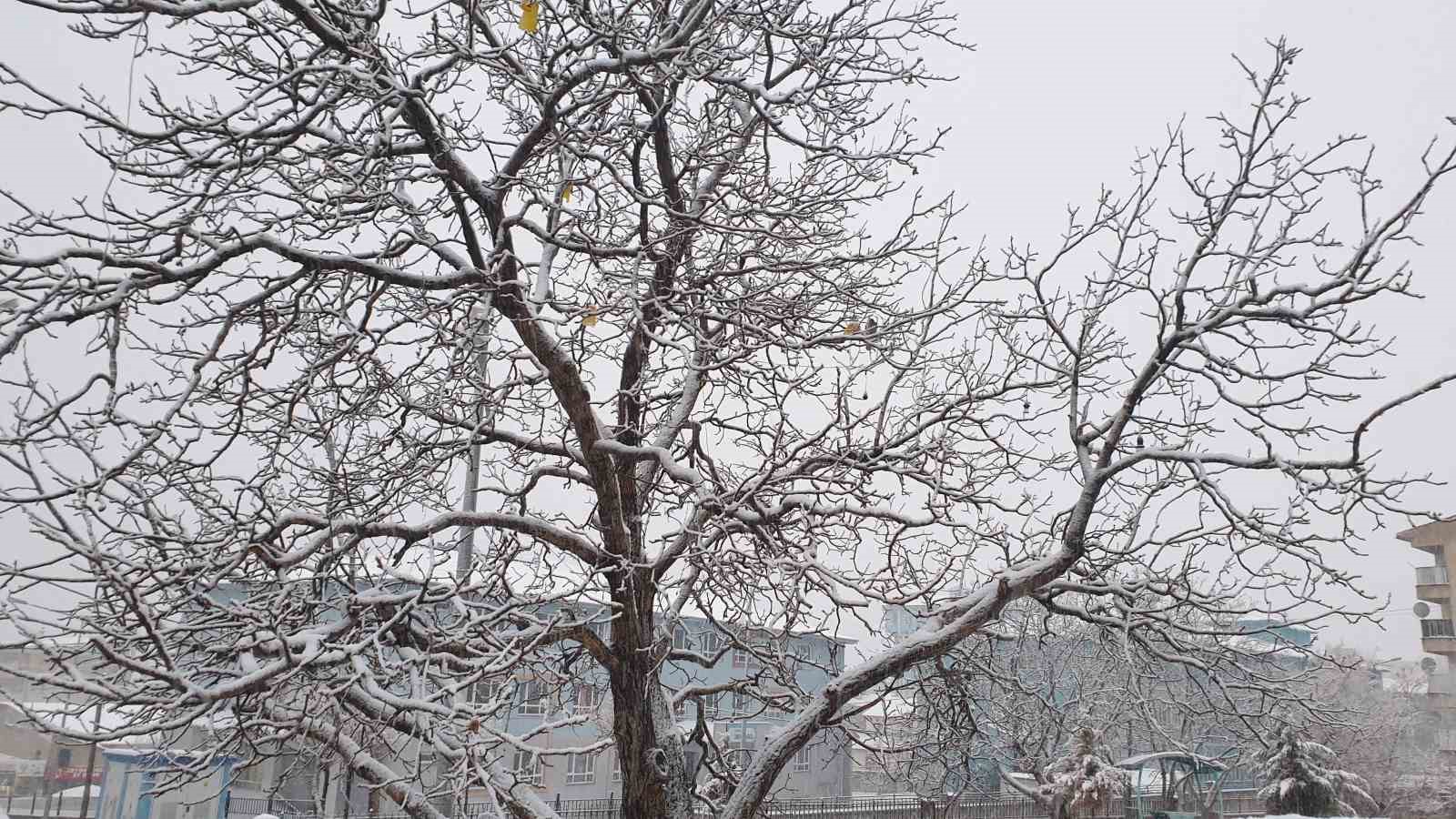 Başkale baharda dondu