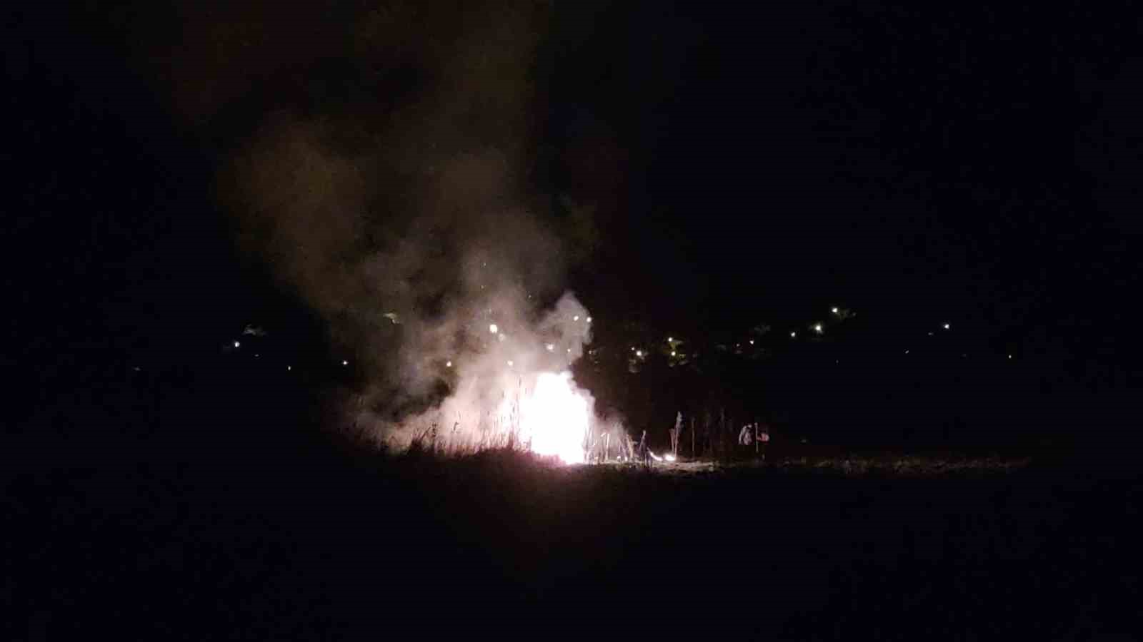 Van’da birçok kuş türüne ev sahipliği yapan sazlık alan yandı