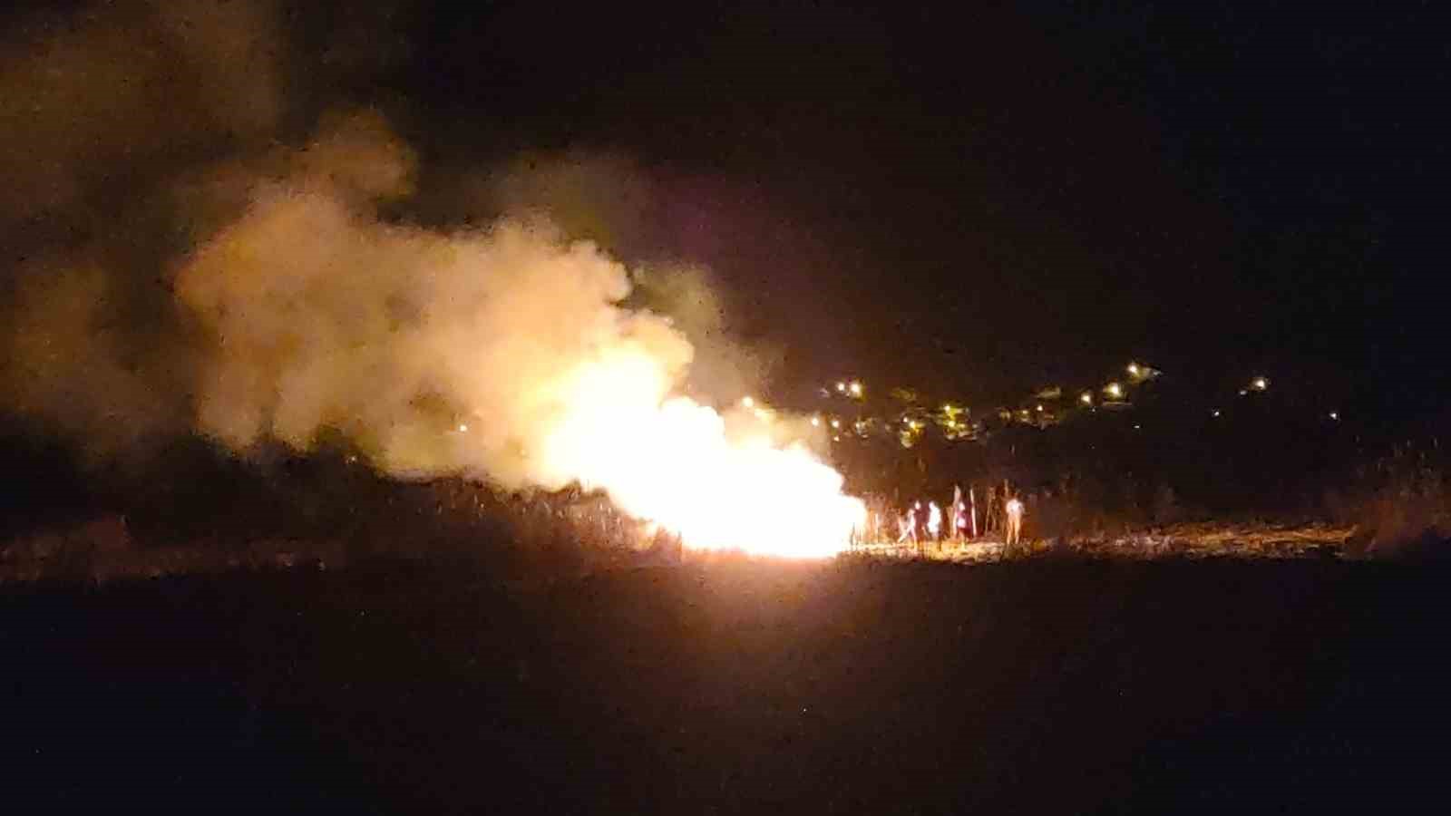 Van’da birçok kuş türüne ev sahipliği yapan sazlık alan yandı