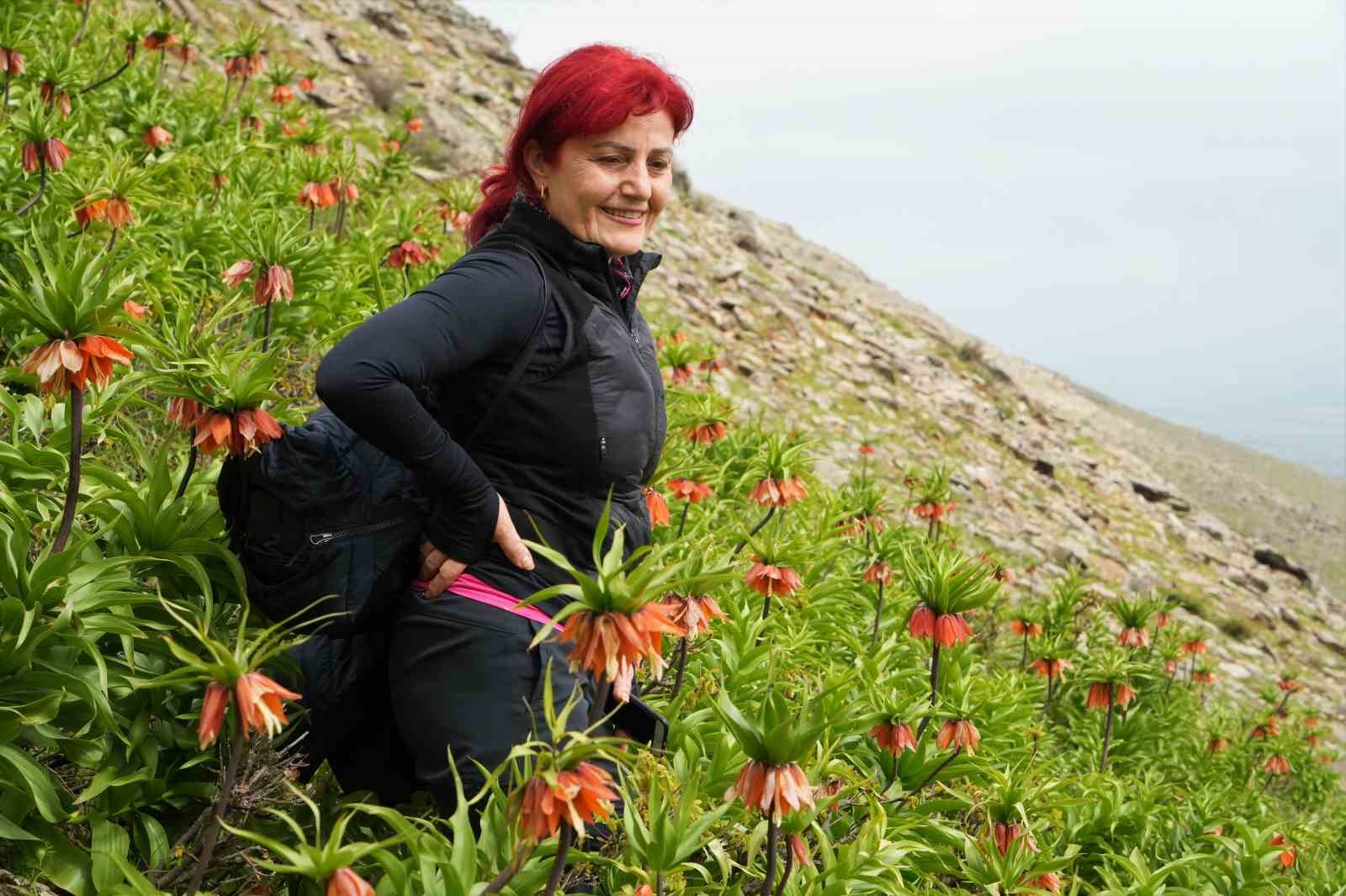 Ters laleleri görmek için 500 kilometre yol geldiler ama dokunamadılar