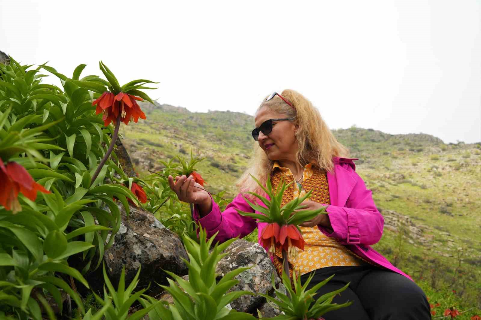 Ters laleleri görmek için 500 kilometre yol geldiler ama dokunamadılar