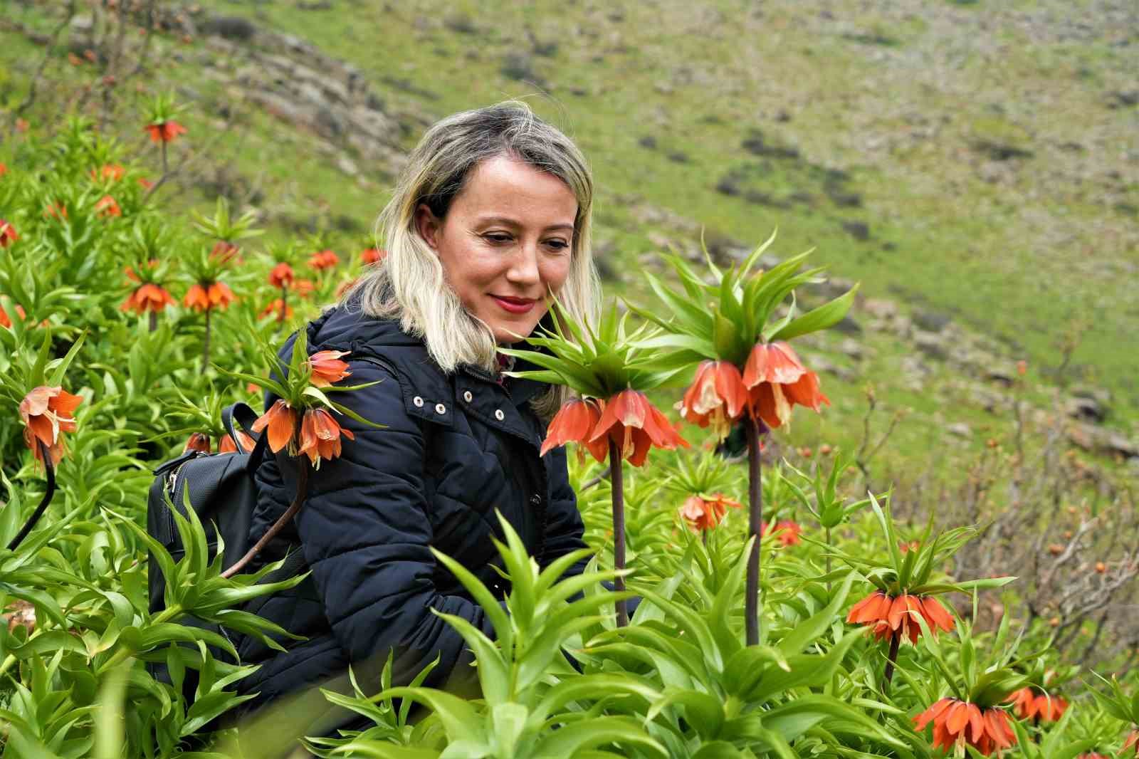 Ters laleleri görmek için 500 kilometre yol geldiler ama dokunamadılar