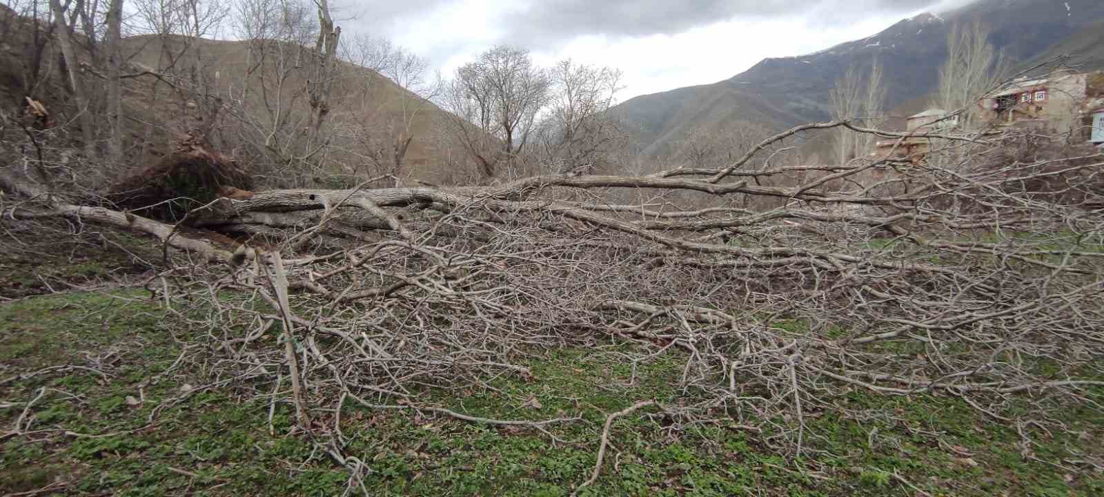 Çatak’ta fırtına hasara neden oldu