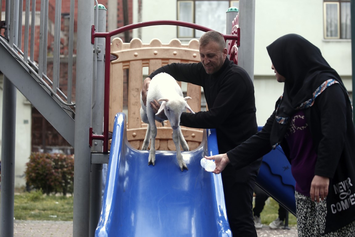 Kuzuya evlatları gibi bakıyorlar