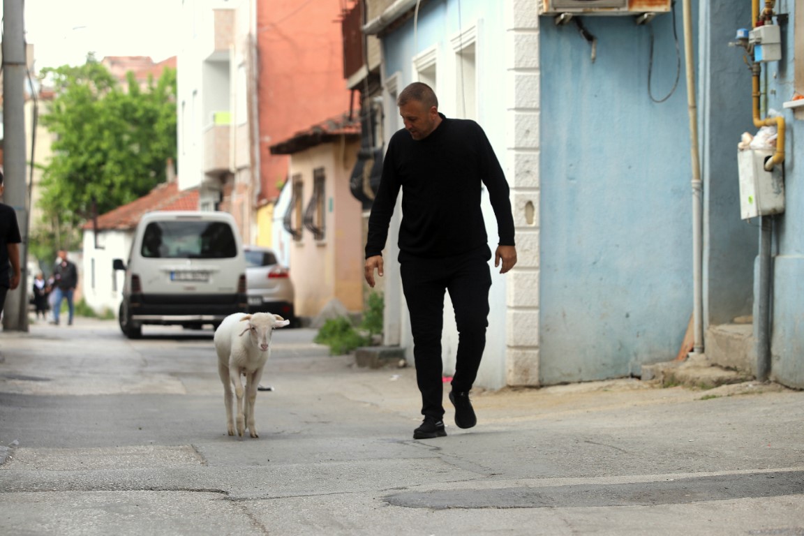 Kuzuya evlatları gibi bakıyorlar