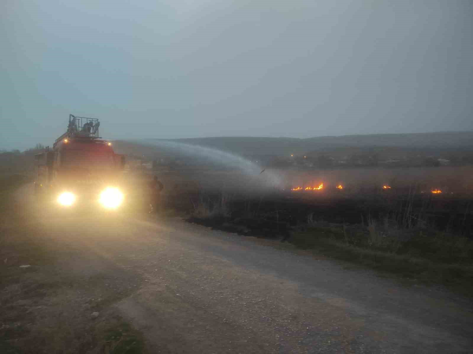 Van’da sazlık alanda yangın
