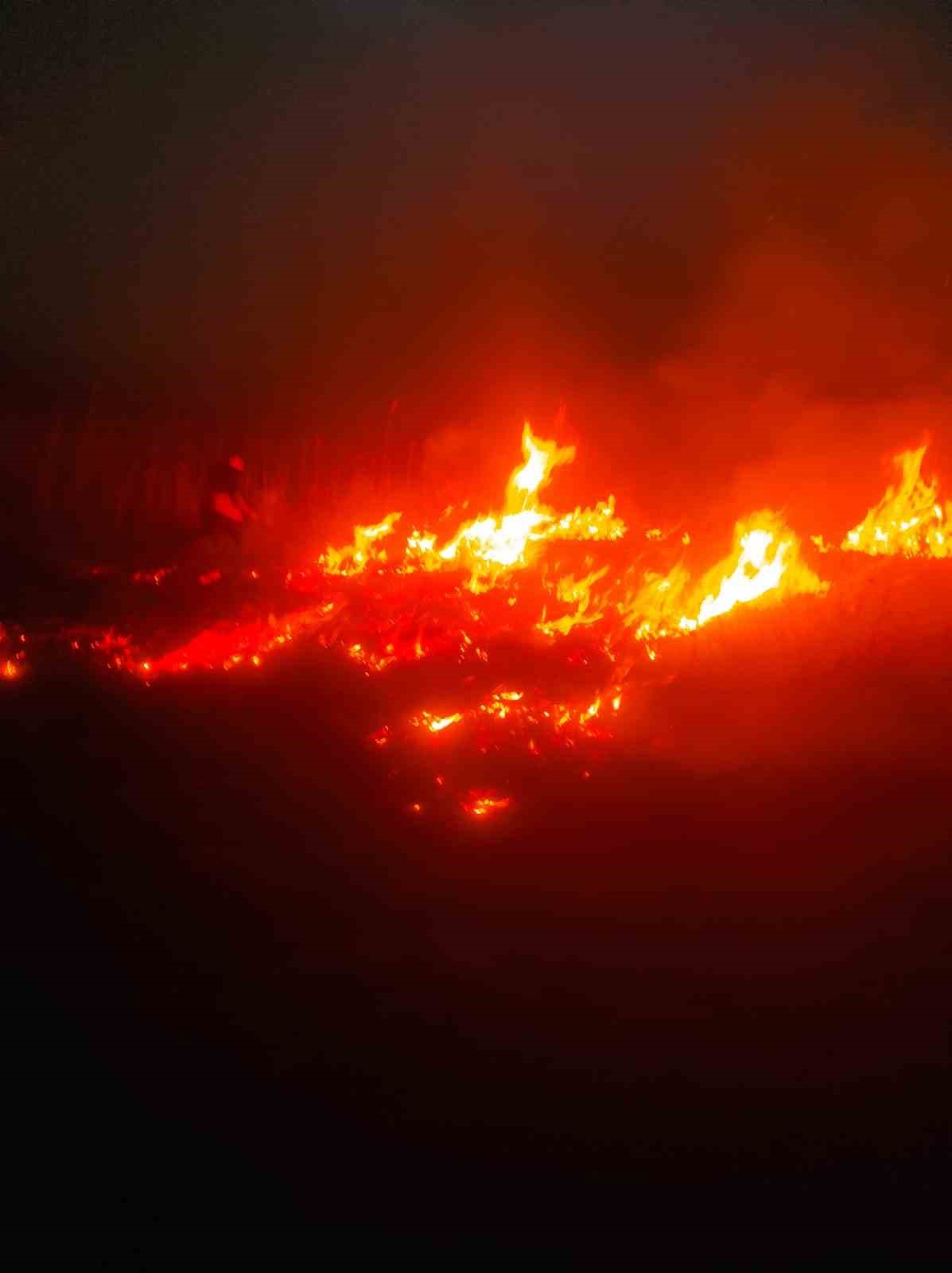 Van’da sazlık alanda yangın