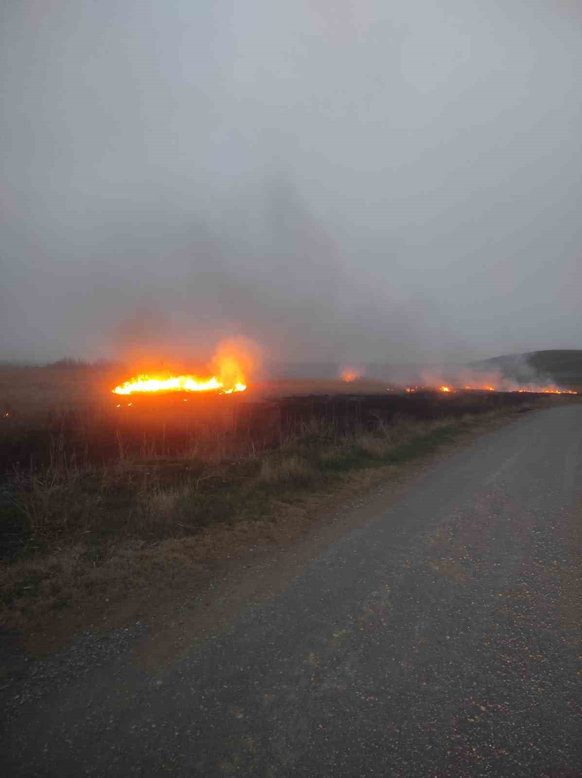 Van’da sazlık alanda yangın