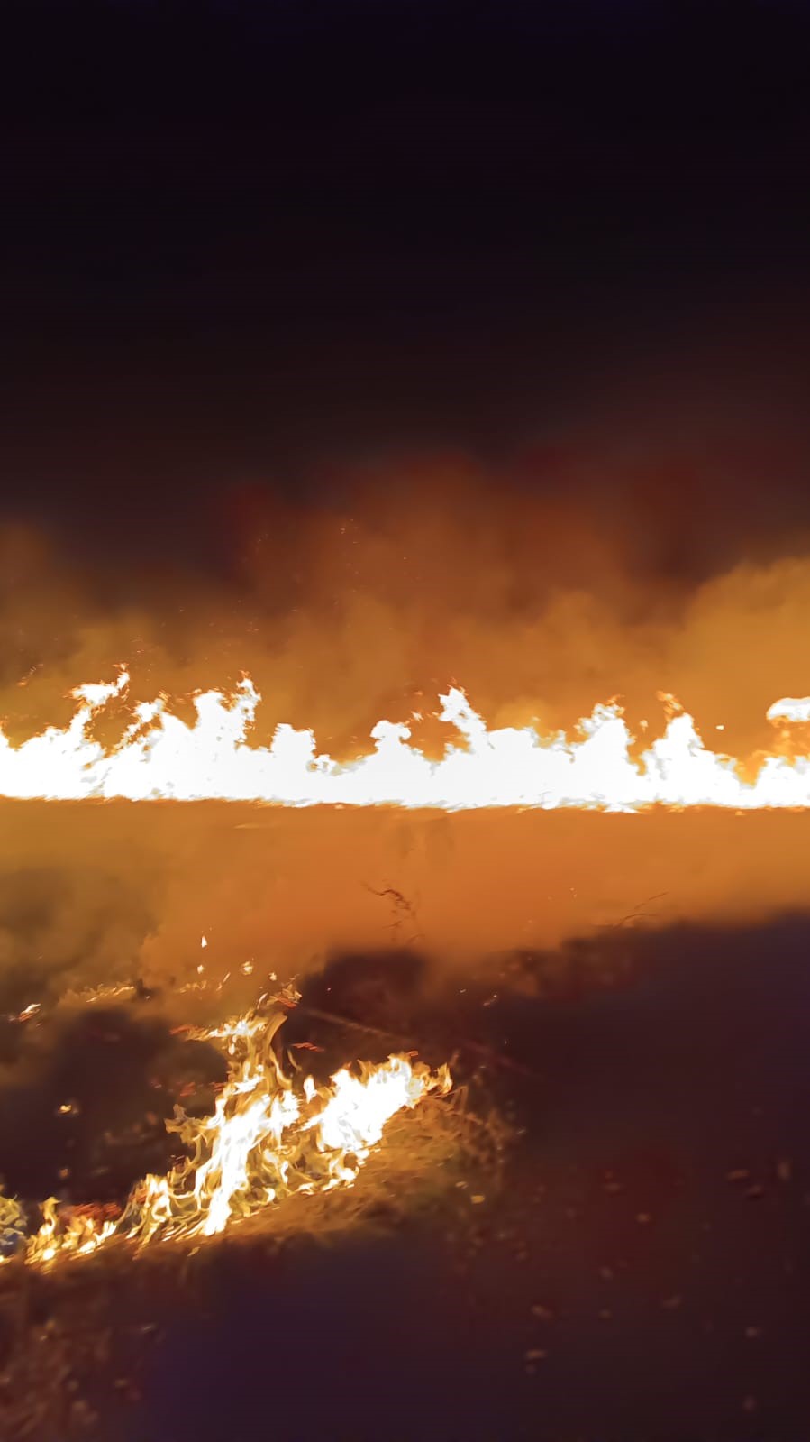 Van’ın Gevaş ilçesinde son 2 günde 3 sazlık alan yandı