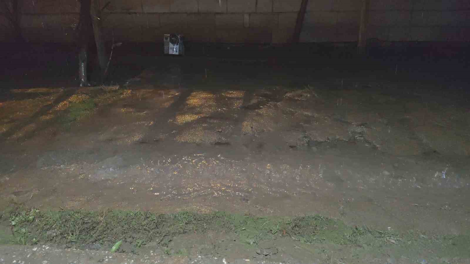 Erciş’te yağmur yağışı etkili oldu