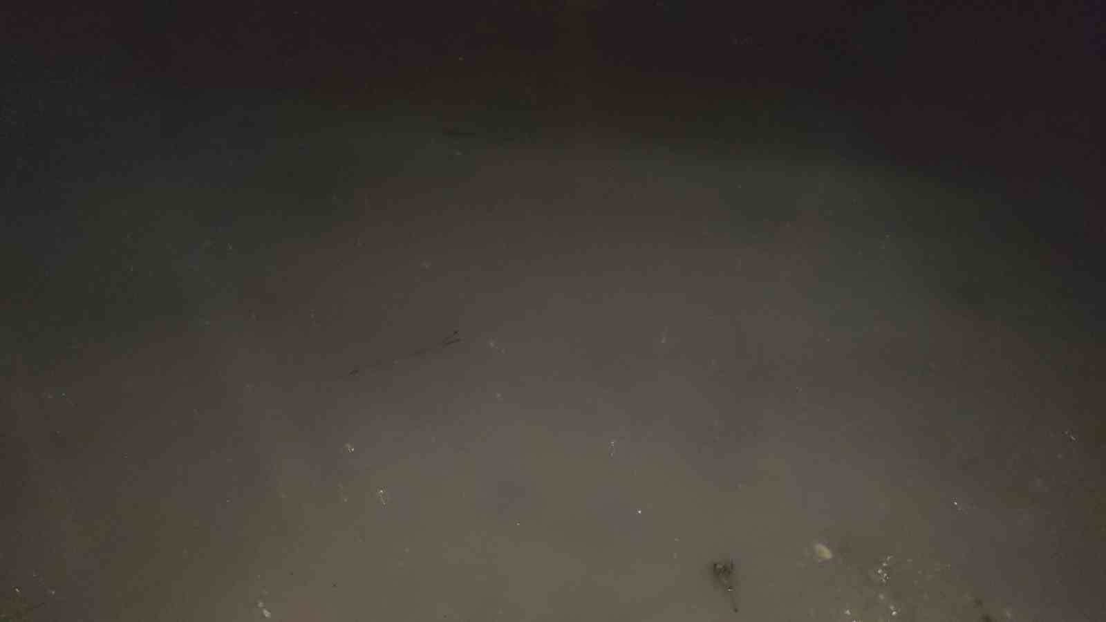 Erciş’te yağmur yağışı etkili oldu