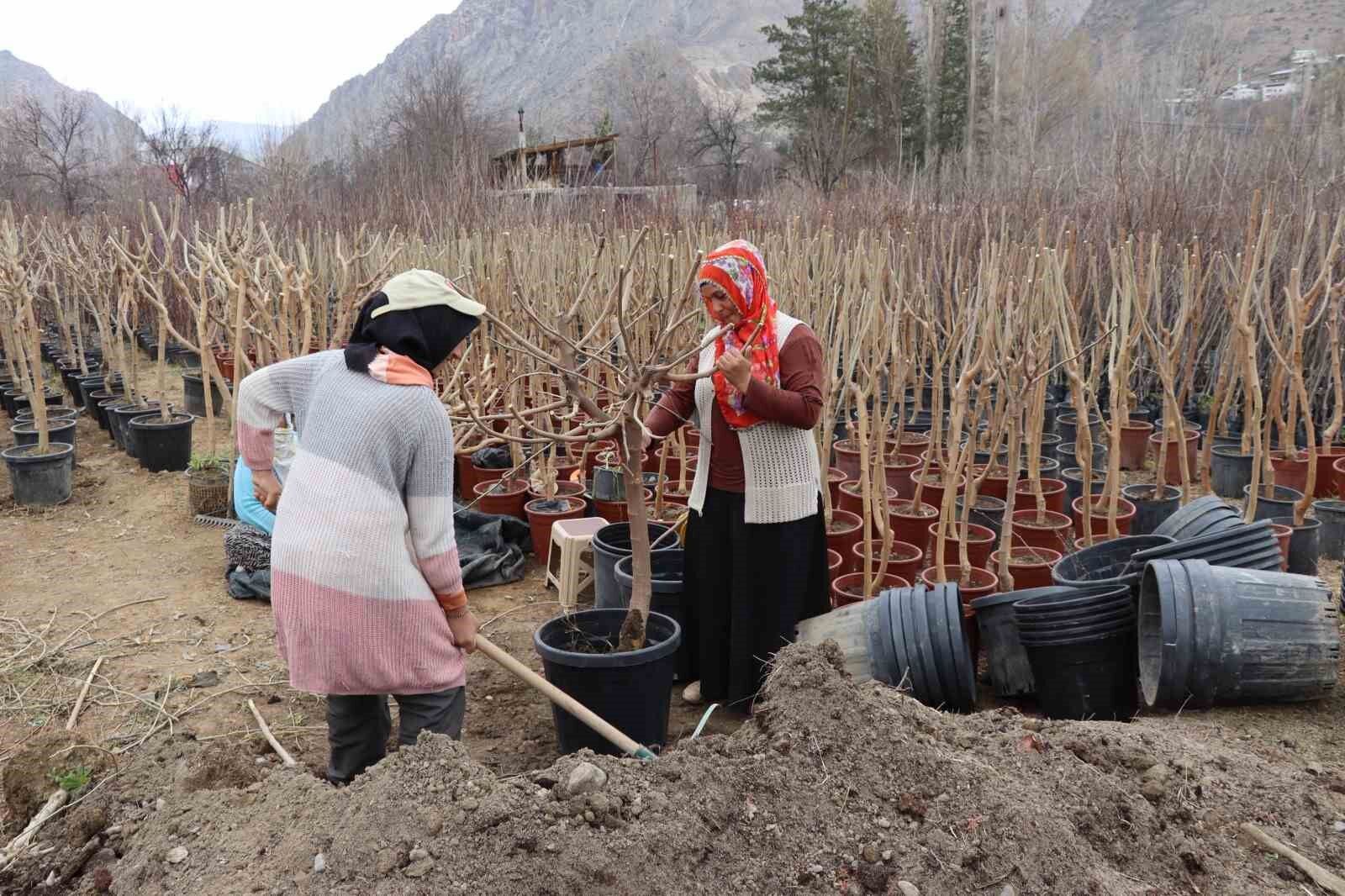 Ömrünü fidan üretimine adadı