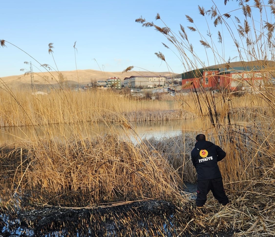 Van’da sazlıklar tehlikede