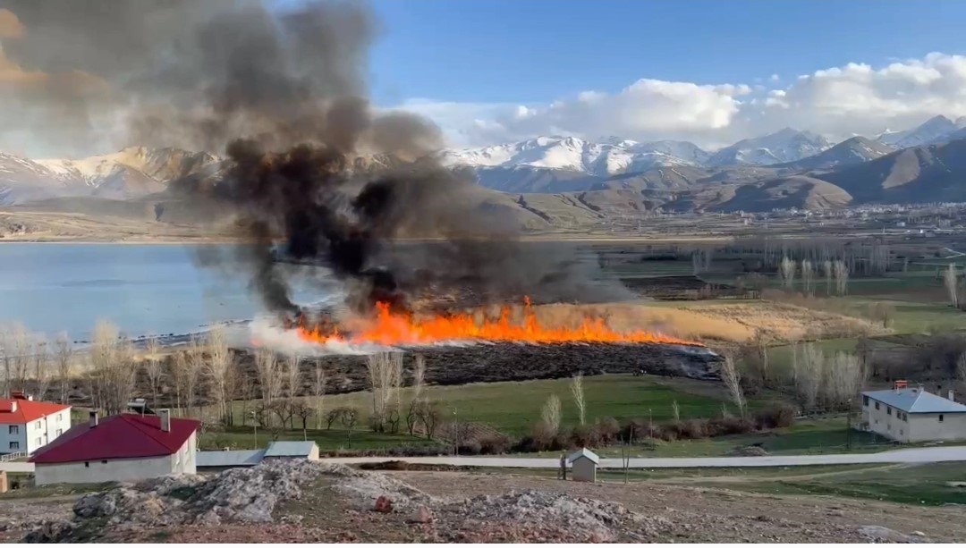 Van’da sazlıklar tehlikede