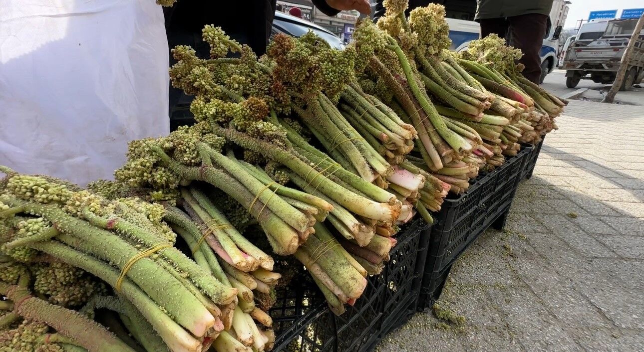 Yayla muzunun destesi 100 TL’den satışa çıkarıldı