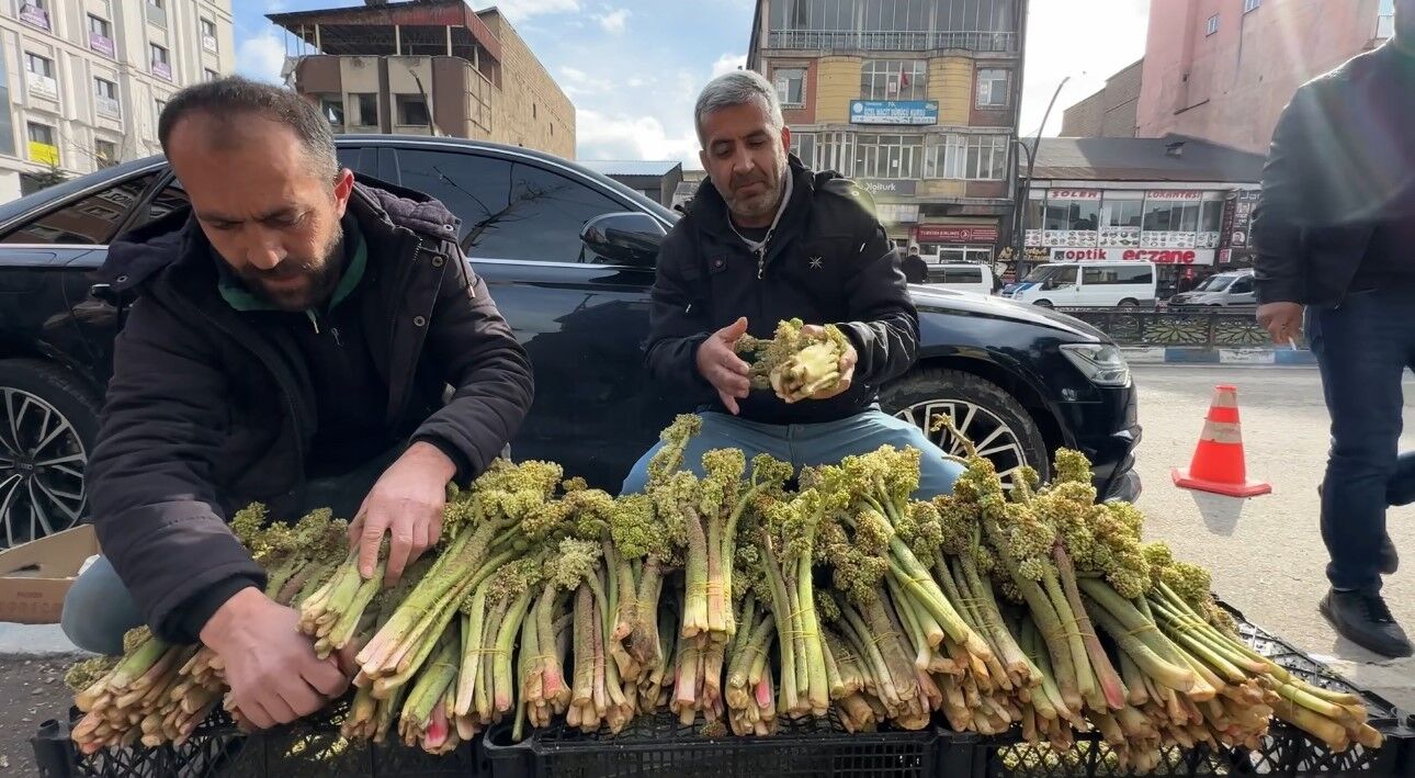 Yayla muzunun destesi 100 TL’den satışa çıkarıldı