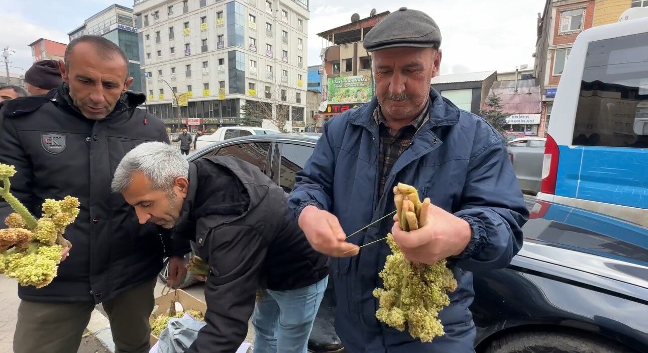 Yayla muzunun destesi 100 TL’den satışa çıkarıldı