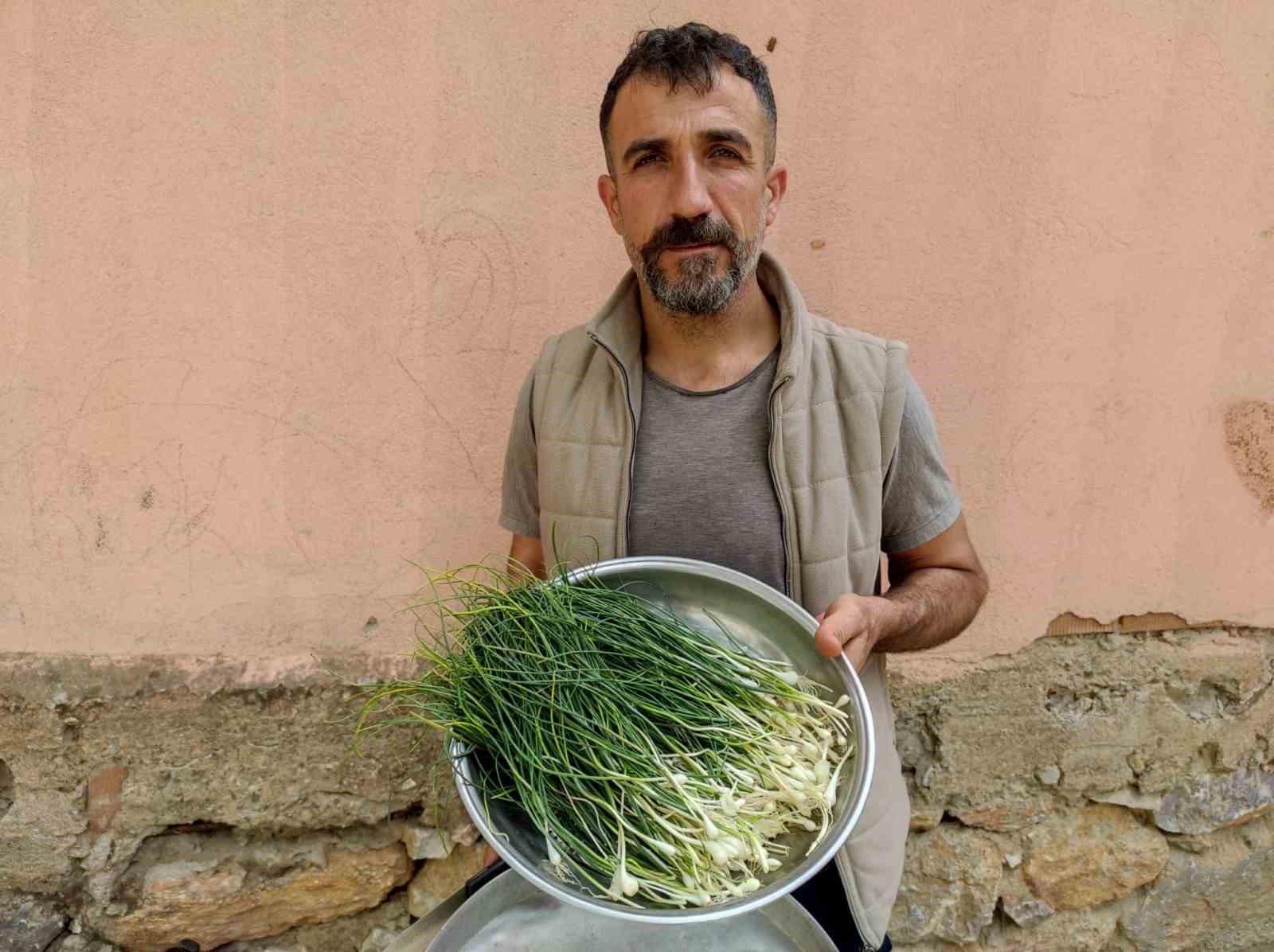 Dağdan toplanıyor, kilosu 10 bin TL’ye satılıyor