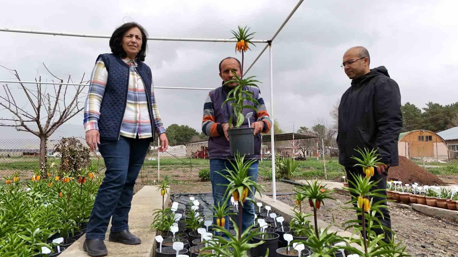 Bu çiçeği koparmanın cezası 577 bin lira