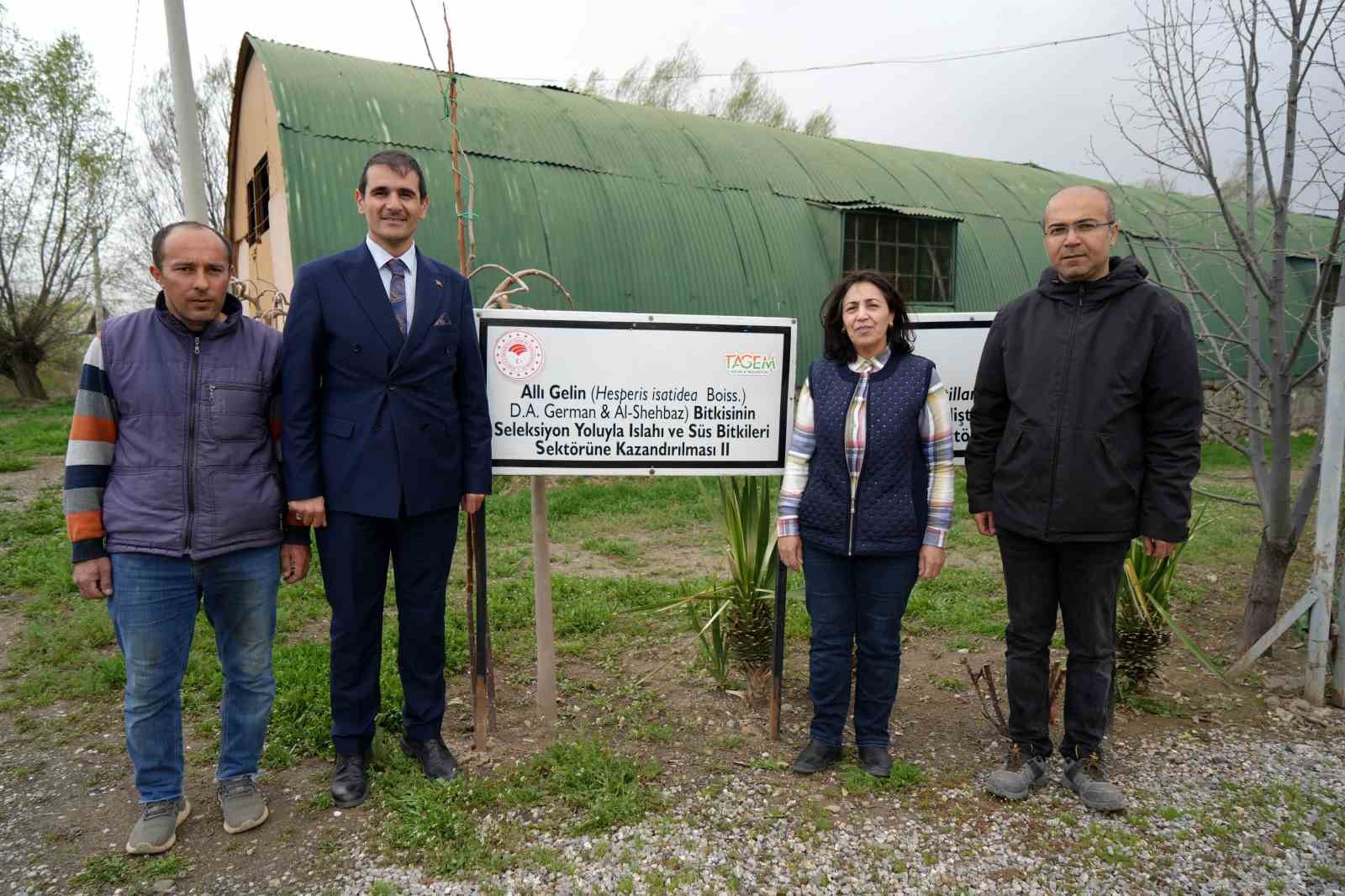 Bu çiçeği koparmanın cezası 577 bin lira