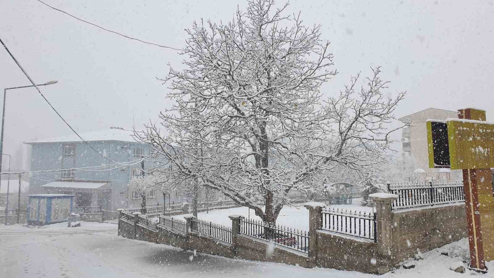 Başkale’ye kış geri geldi ilçe beyaza büründü