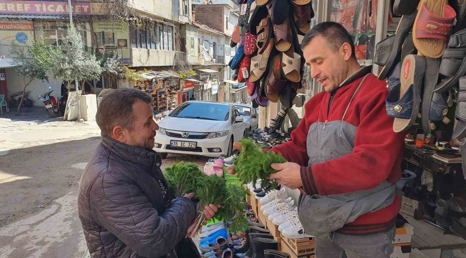 Kendiliğinden yetişen çaşır otu yok satıyor