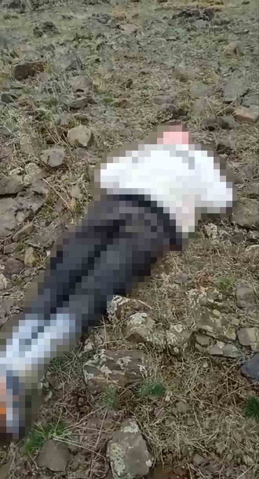 Özalp kırsalında erkek cesedi bulundu