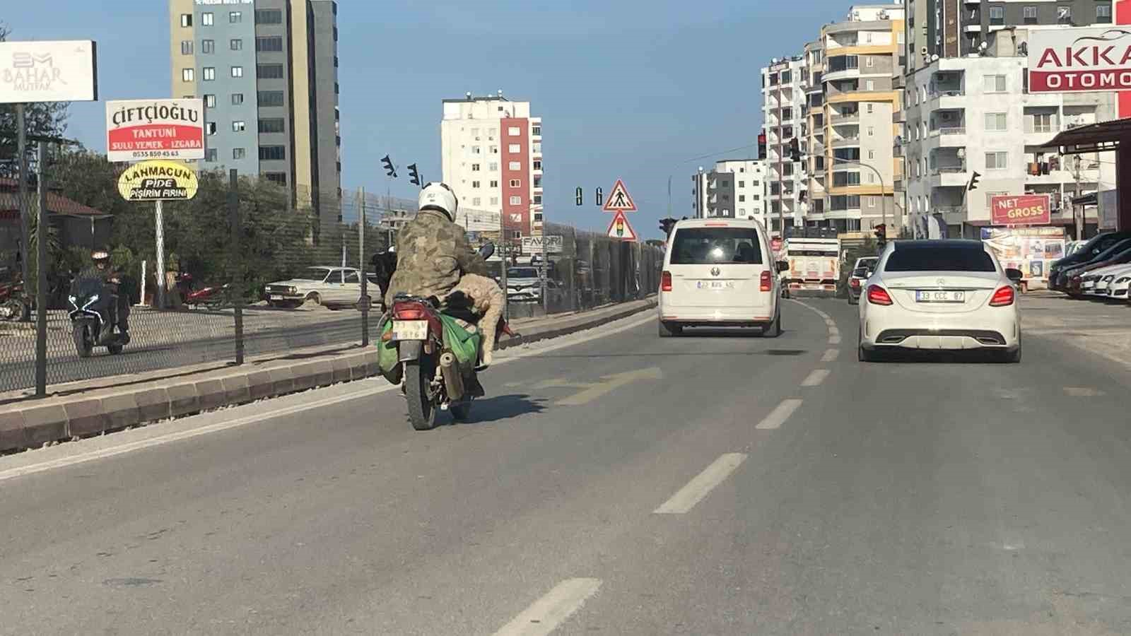 Dikkat: Motosiklette koç var