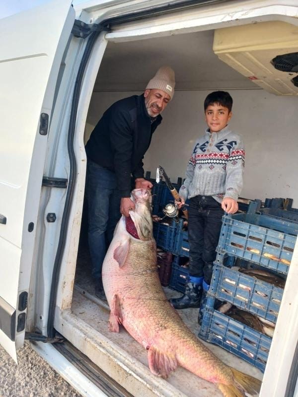 Keban Baraj Gölünde 72 kiloluk dev turna balığı yakalandı
