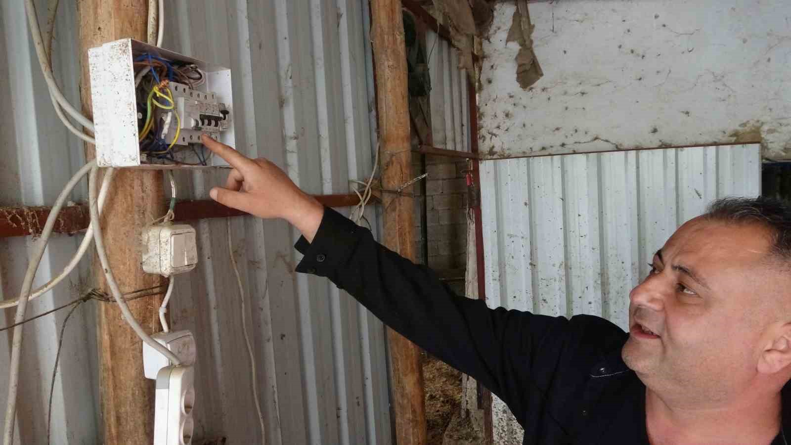 Ahırda dehşet: Onlarca büyükbaş hayvan akıma kapıldı, 4’ü telef oldu