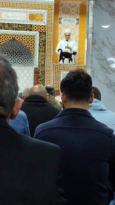 Camideki sadakat; kedisi Lola imamla beş vakit camiye geliyor