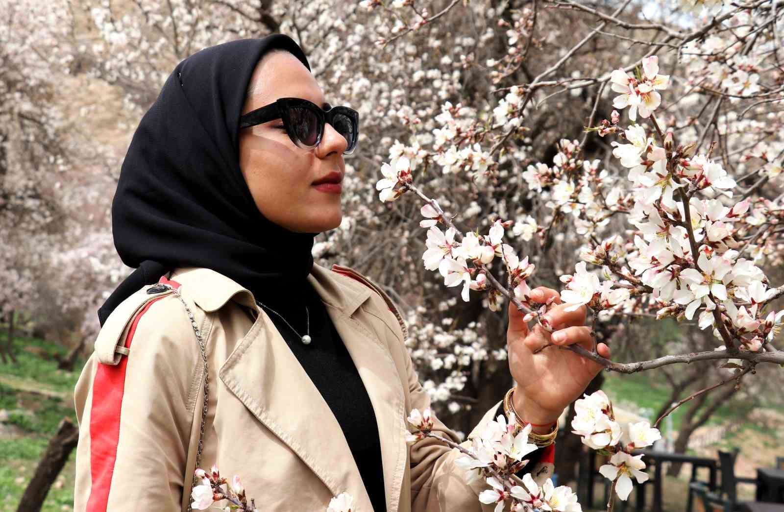 Çiçek açan ağaçların görselliği mest etti