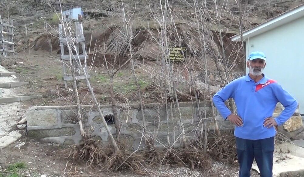 Kendisi yurt dışında ancak her yıl memleketine ağaç diktiriyor