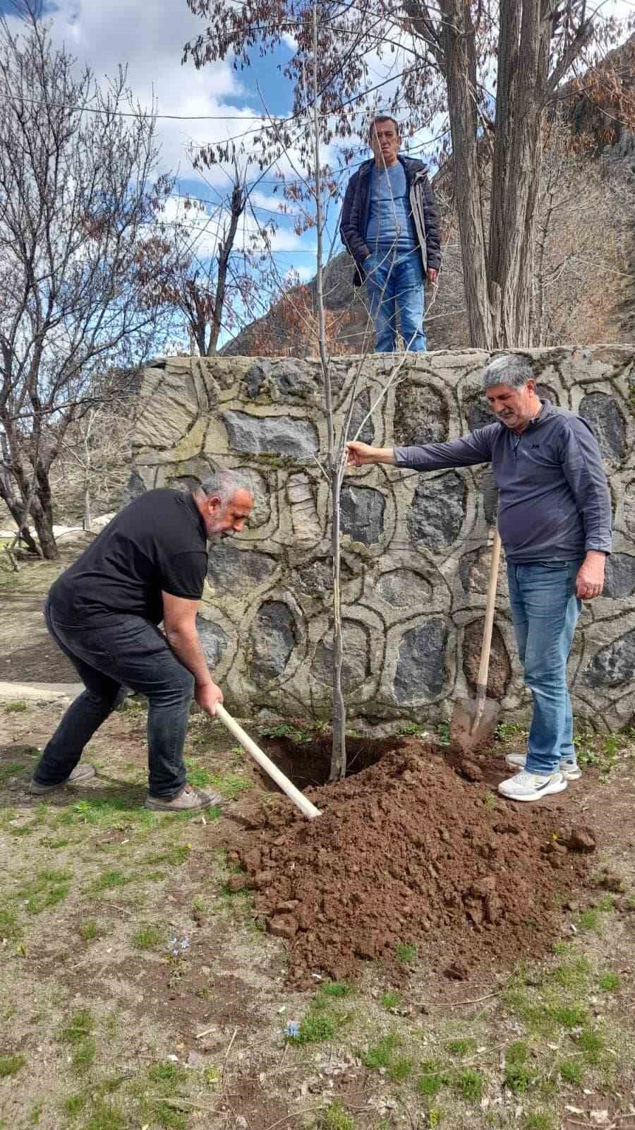 Kendisi yurt dışında ancak her yıl memleketine ağaç diktiriyor