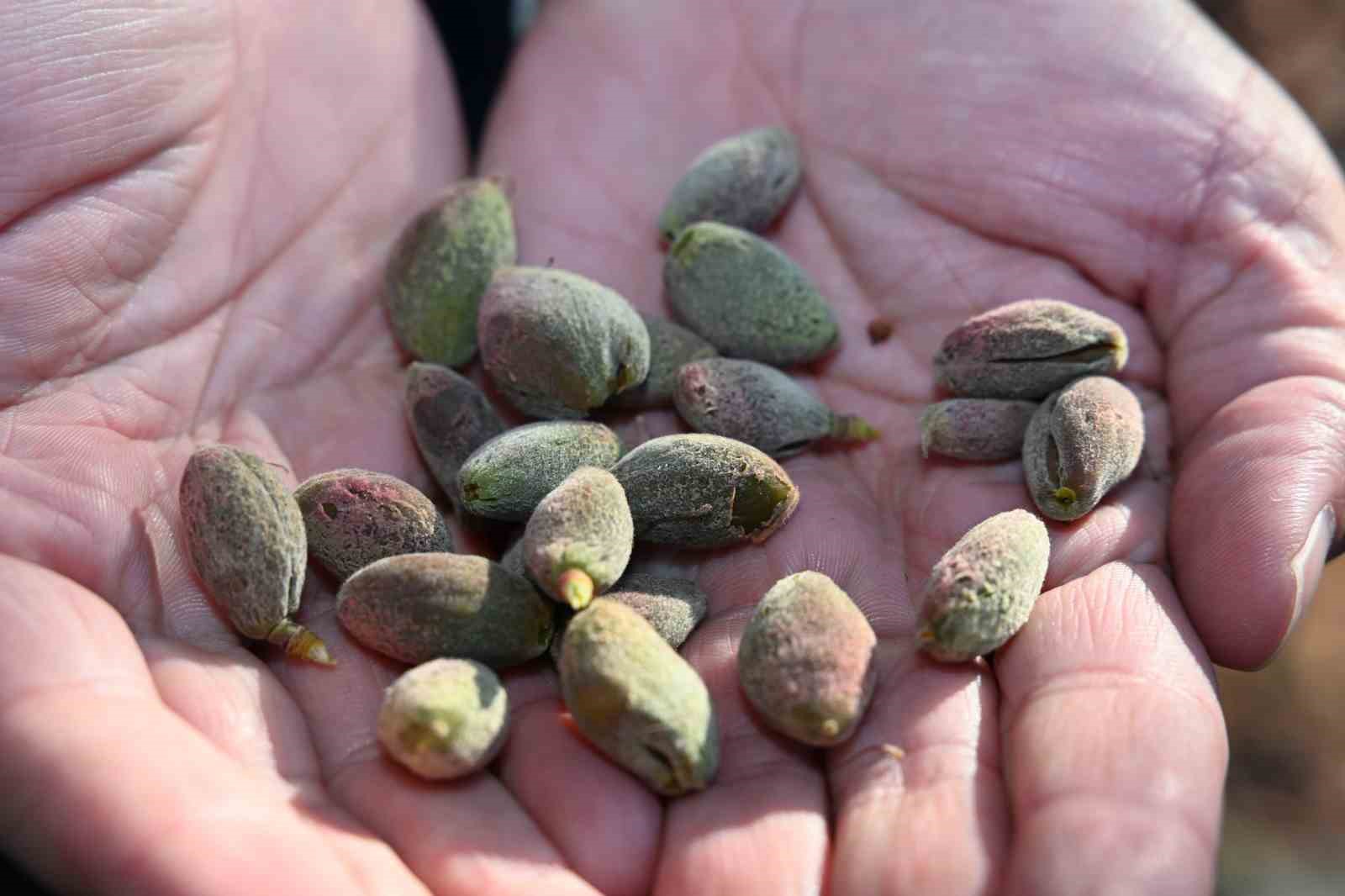 AK Parti Malatya Milletvekili Ölmeztoprak: 