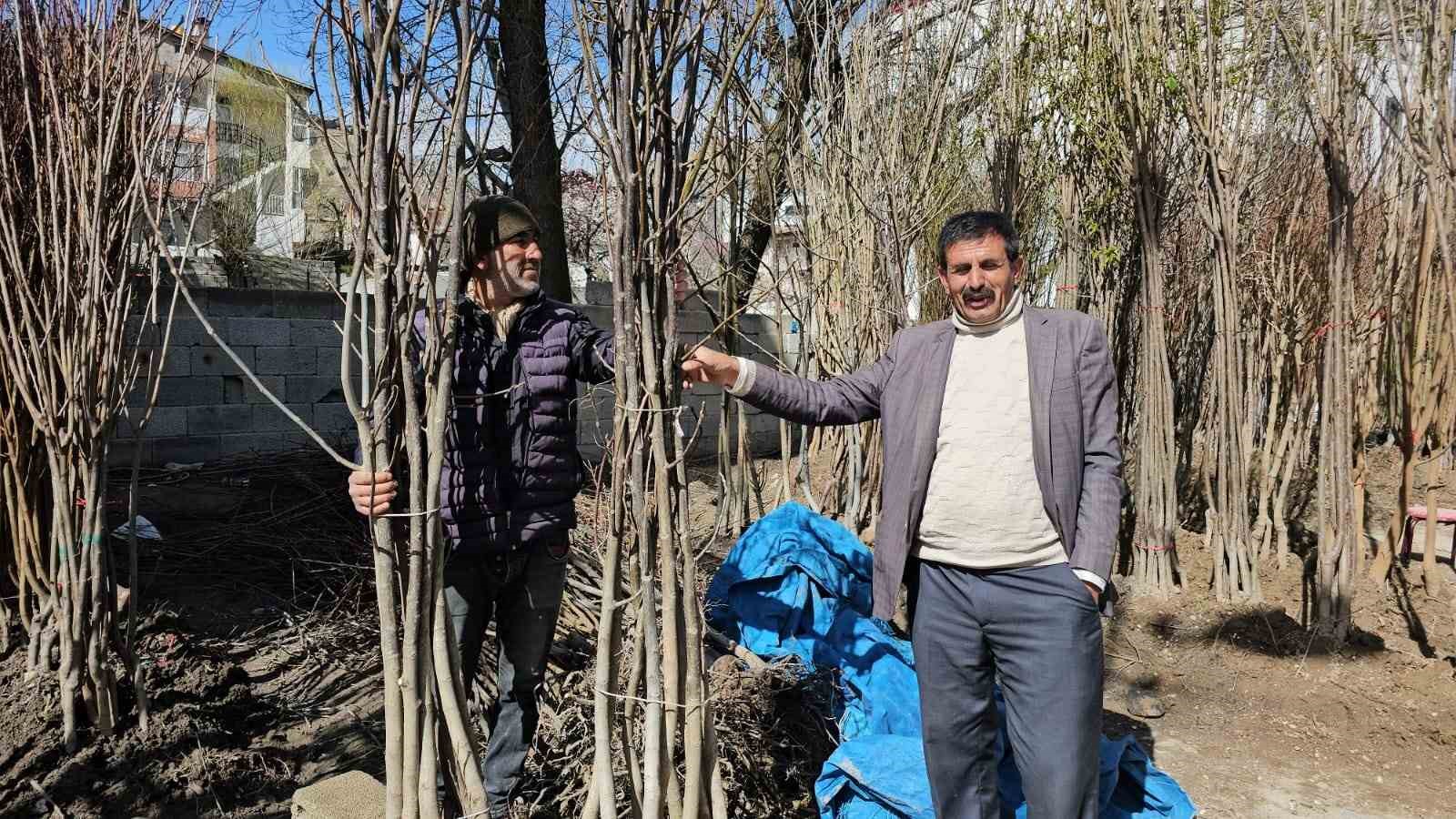 Adilcevaz’dan yurdun dört bir yanına ceviz fidanı