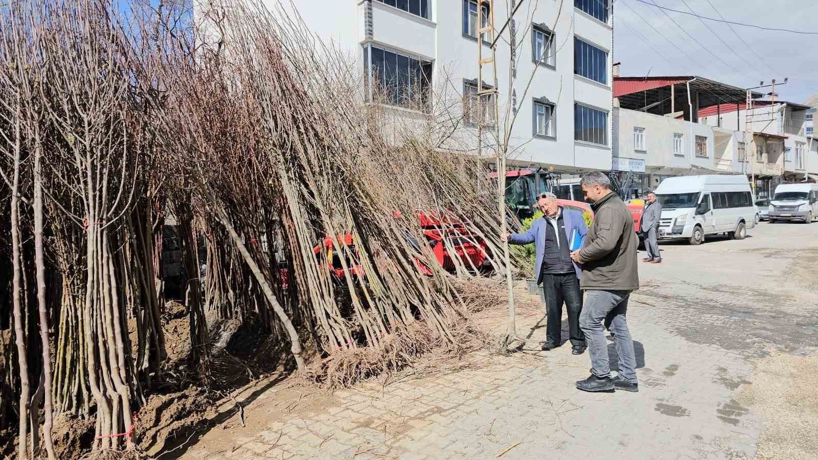 Adilcevaz’dan yurdun dört bir yanına ceviz fidanı