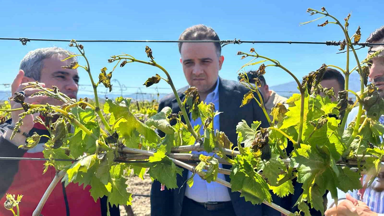 TBMM zirai dondan etkilenen üreticiler için adım attı