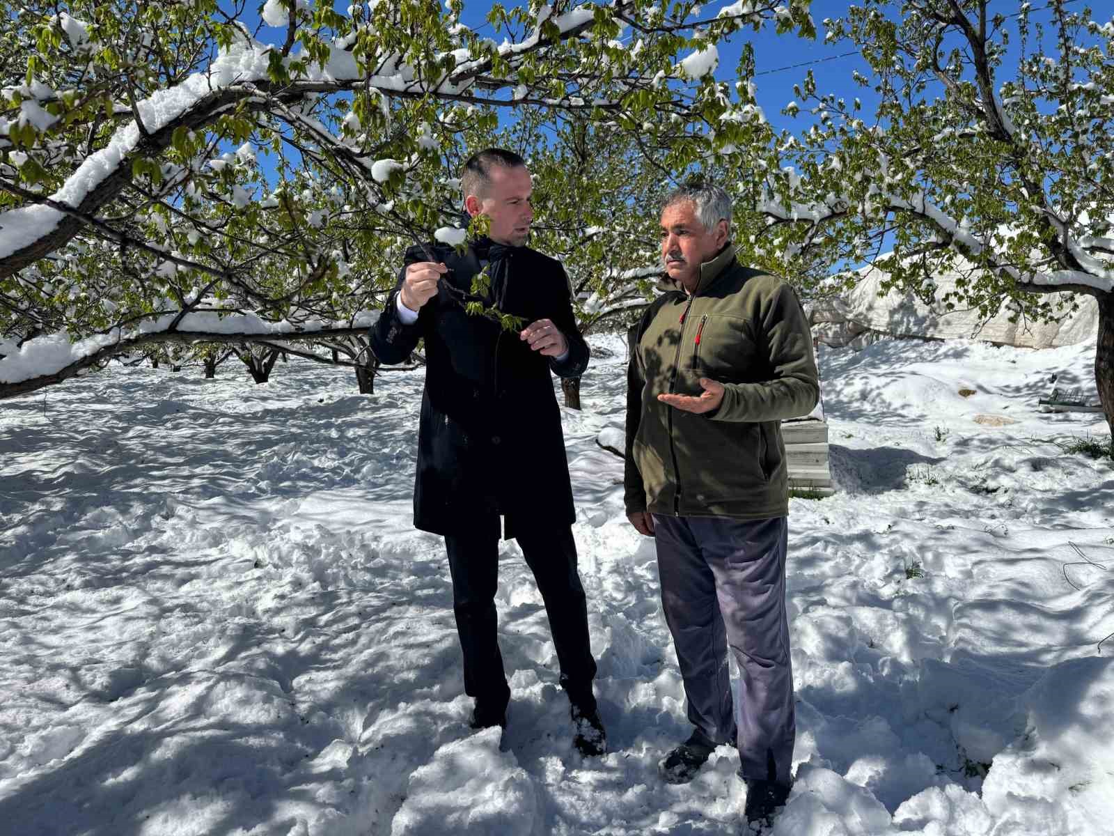 Malatya’da kayısı da don felaketi