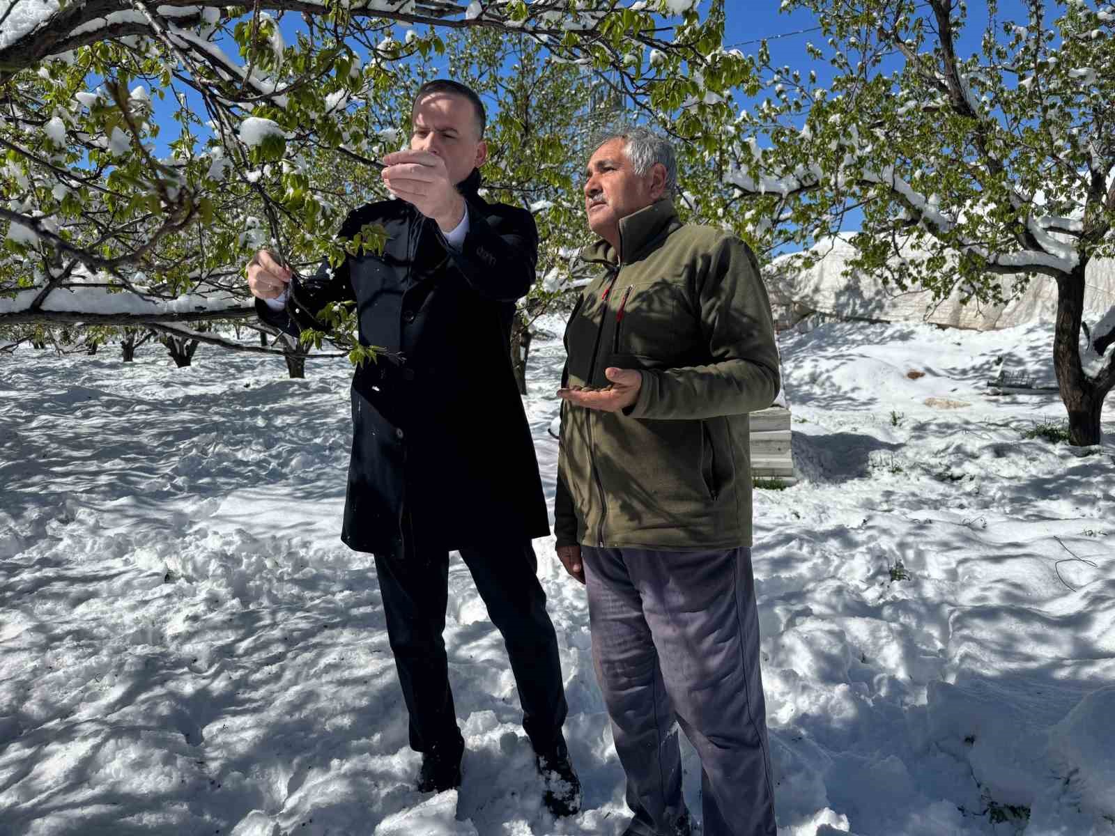 Malatya’da kayısı da don felaketi