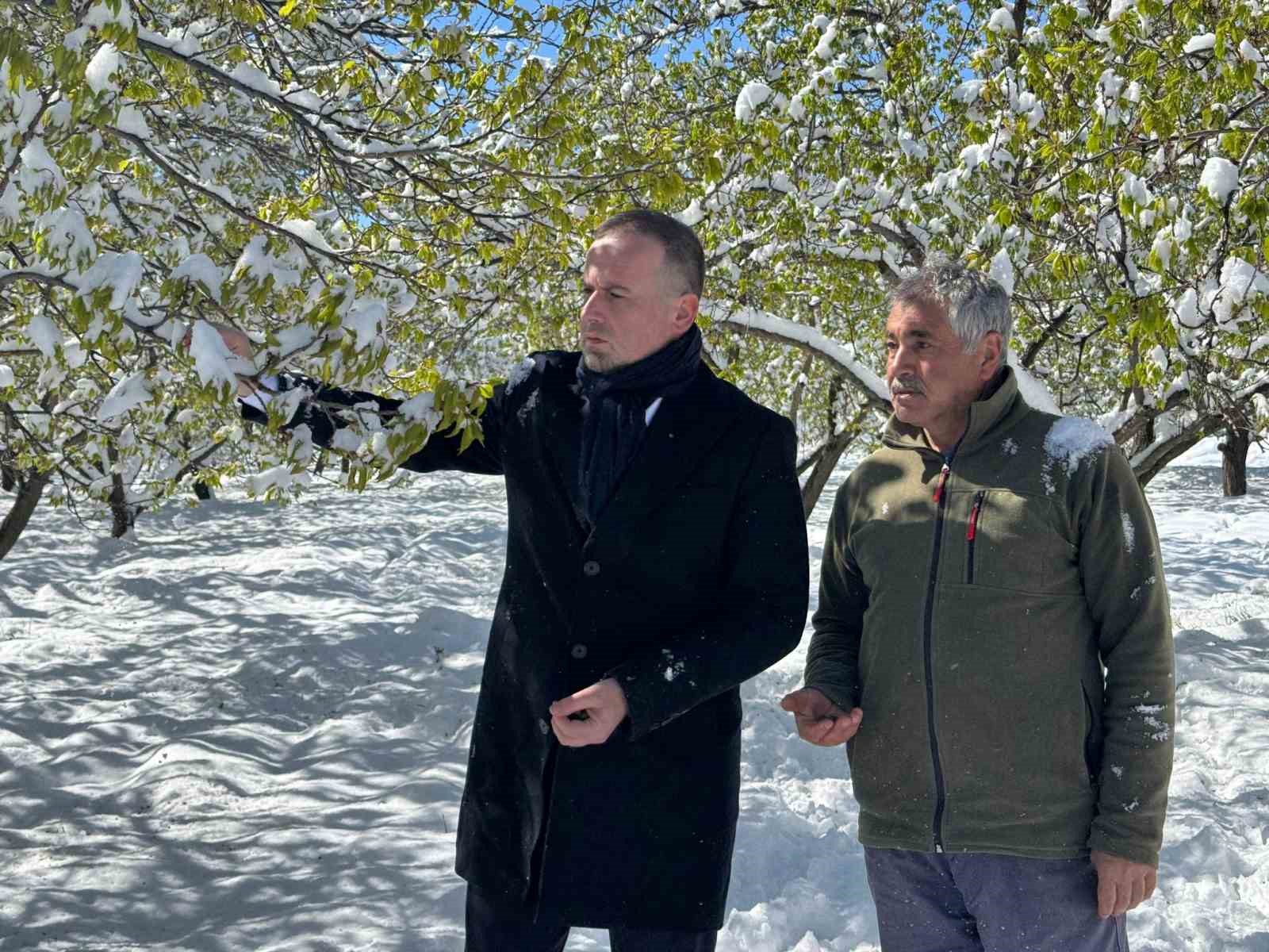 Malatya’da kayısı da don felaketi