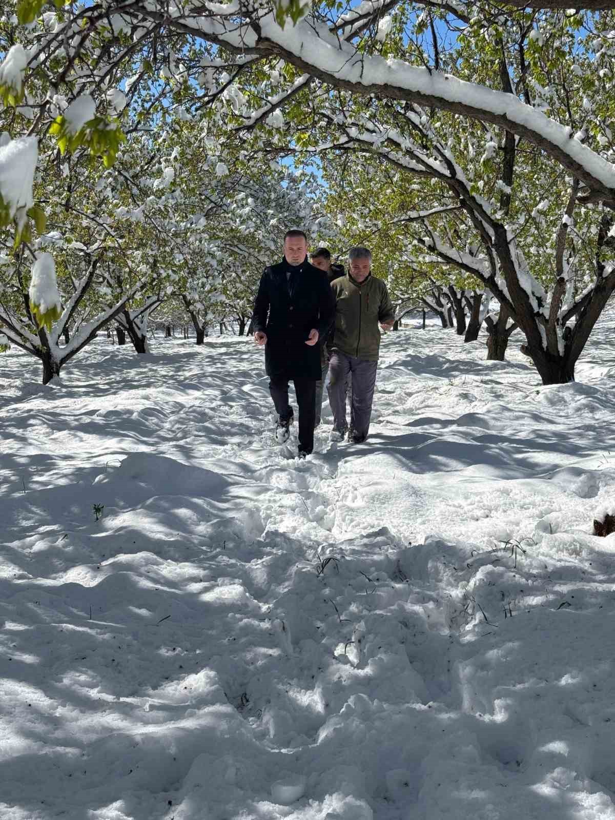 Malatya’da kayısı da don felaketi