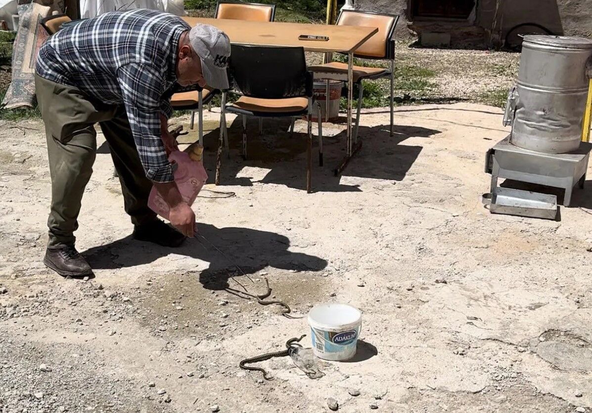 Hakkarili aile iki yıldır yılanlarla yaşıyor
