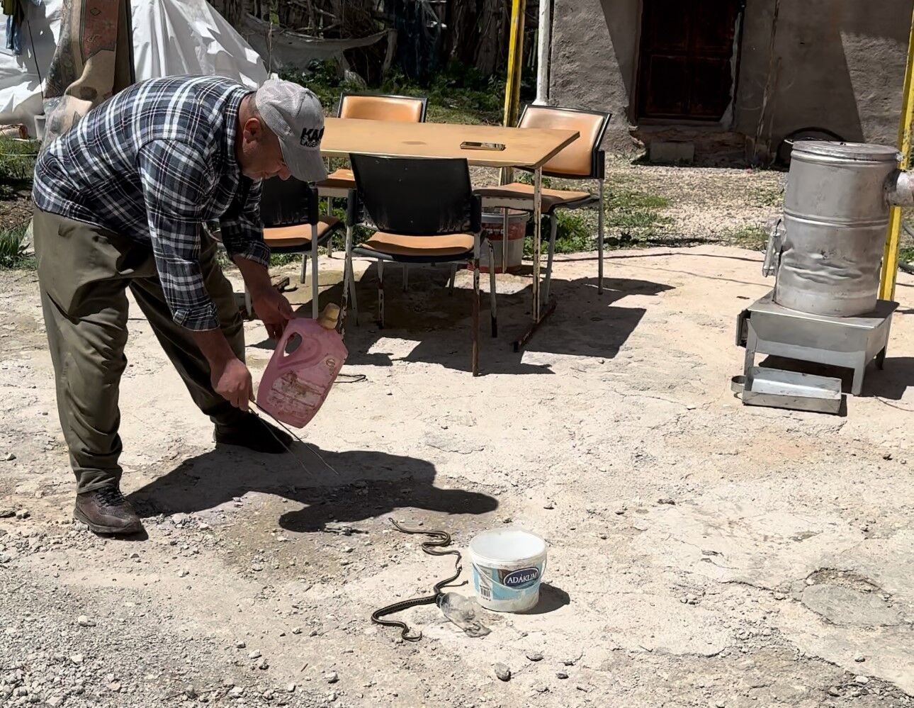 Hakkarili aile iki yıldır yılanlarla yaşıyor