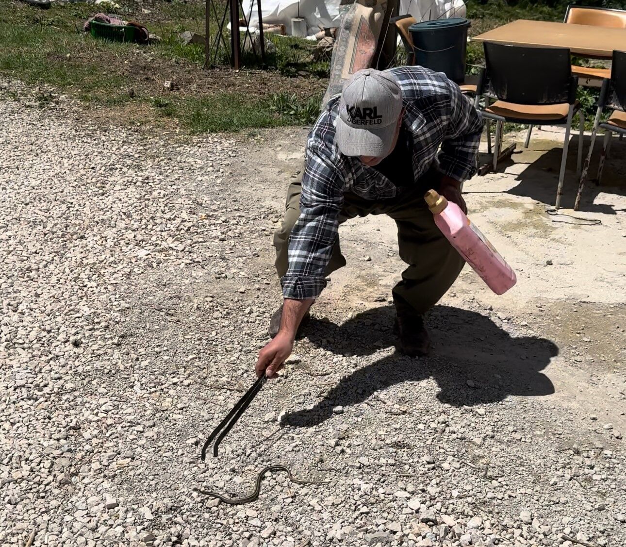 Hakkarili aile iki yıldır yılanlarla yaşıyor