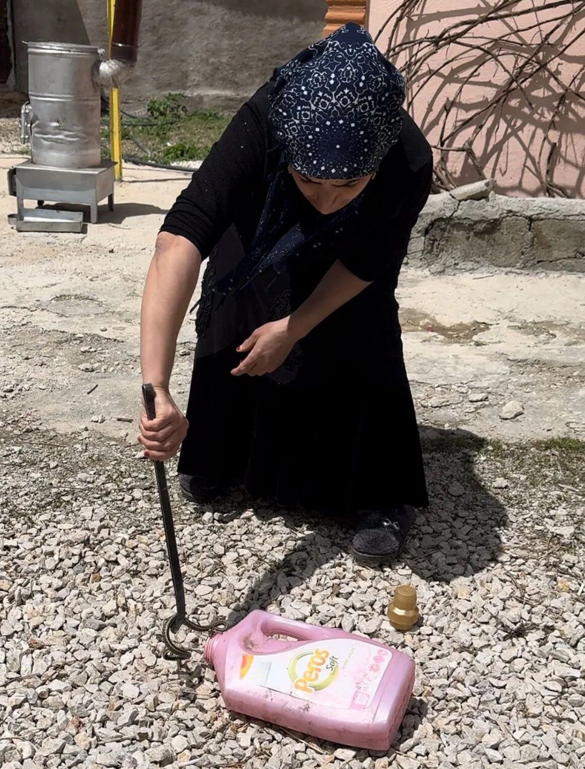 Hakkarili aile iki yıldır yılanlarla yaşıyor