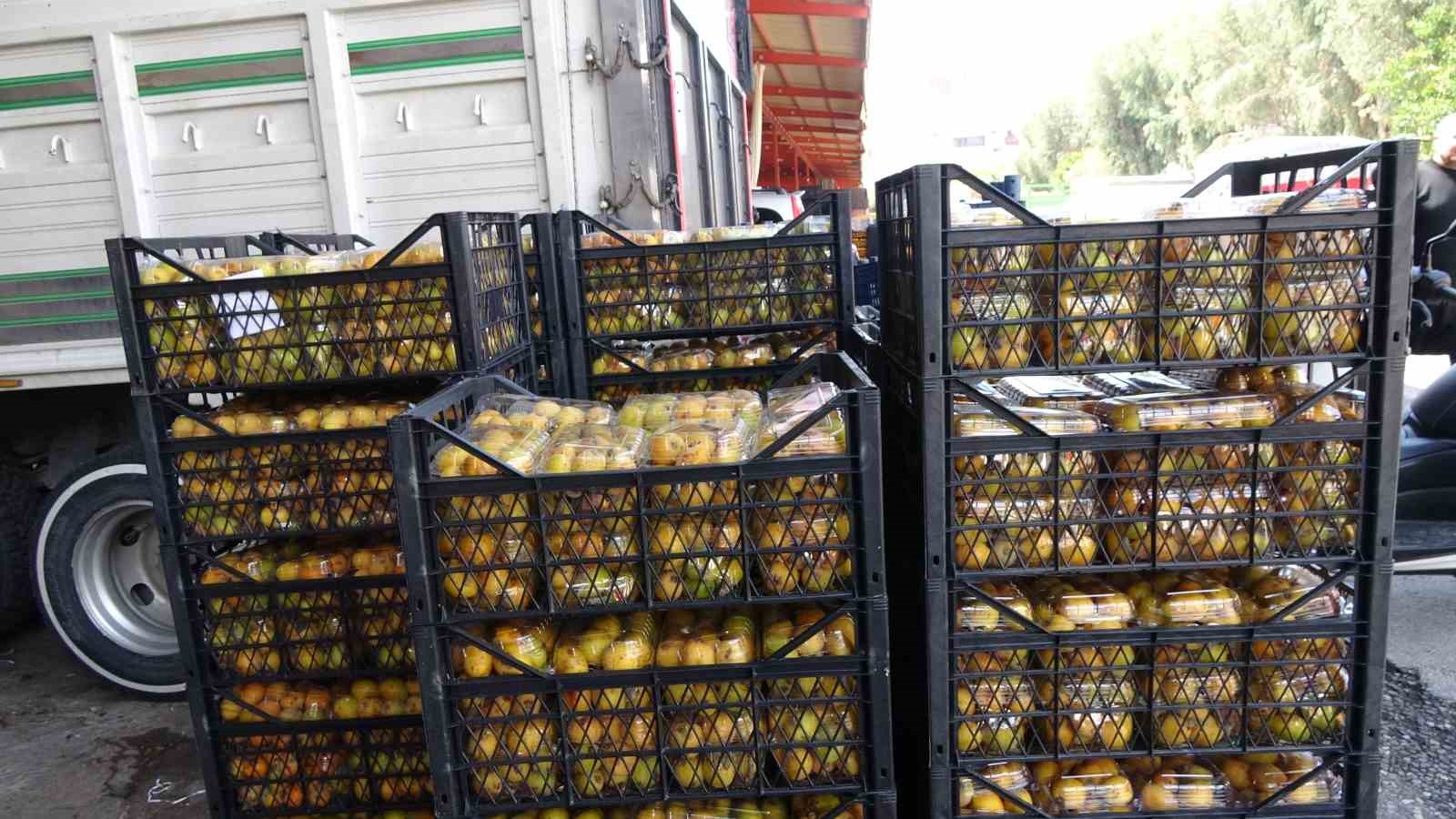 Alanya’da muşmula hasadı başladı