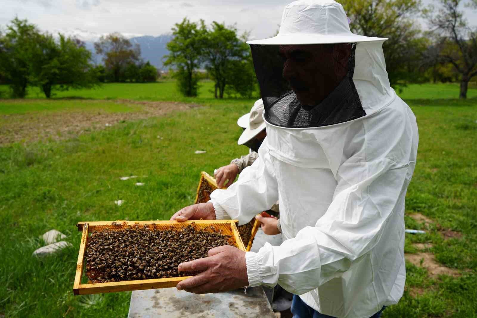 Erzincan’da kış uykusundan uyanan arılar yeni sezona hazırlanıyor