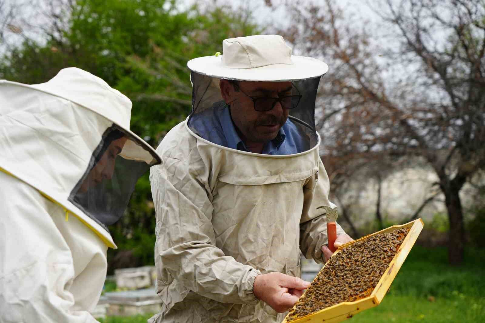 Erzincan’da kış uykusundan uyanan arılar yeni sezona hazırlanıyor