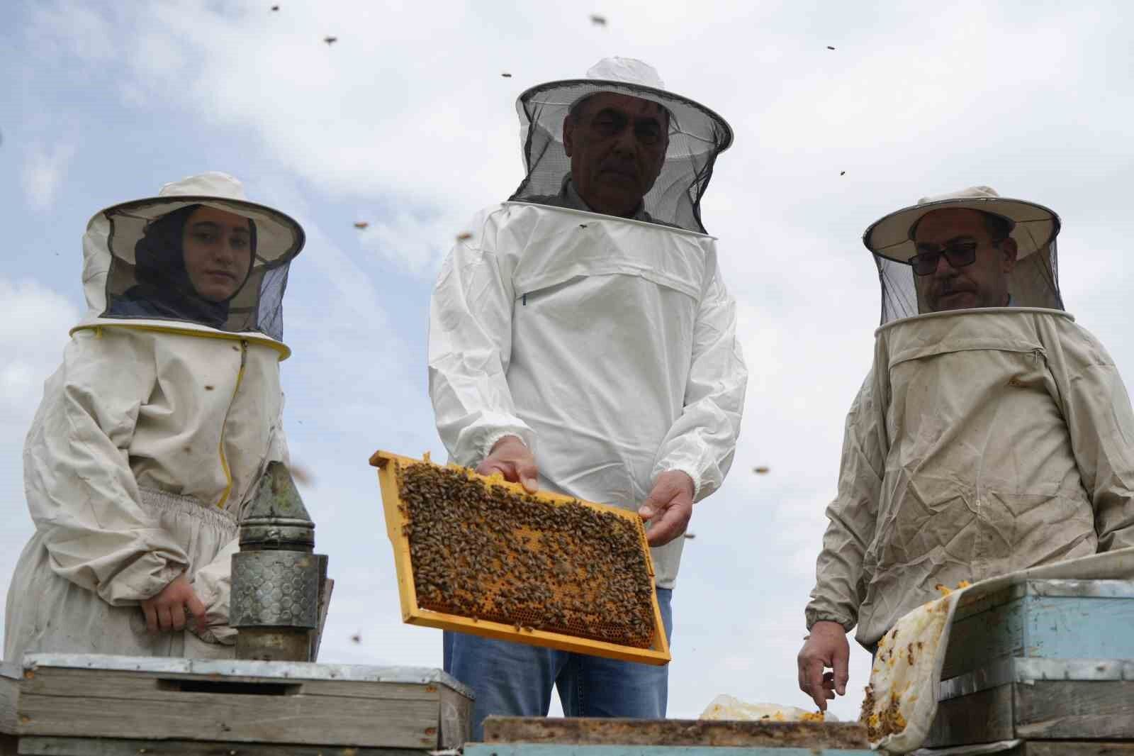 Erzincan’da kış uykusundan uyanan arılar yeni sezona hazırlanıyor